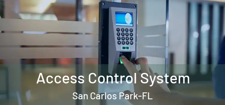  Access Control System San Carlos Park-FL