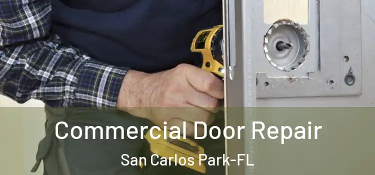  Commercial Door Repair San Carlos Park-FL