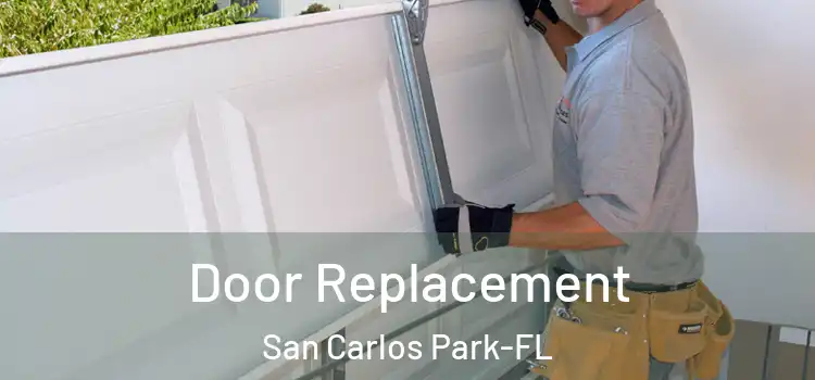  Door Replacement San Carlos Park-FL
