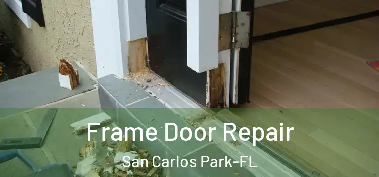  Frame Door Repair San Carlos Park-FL