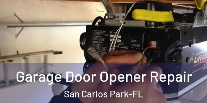 Garage Door Opener Repair San Carlos Park-FL