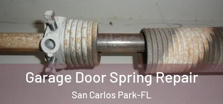  Garage Door Spring Repair San Carlos Park-FL
