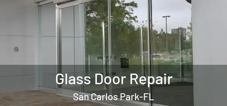  Glass Door Repair San Carlos Park-FL