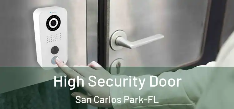  High Security Door San Carlos Park-FL
