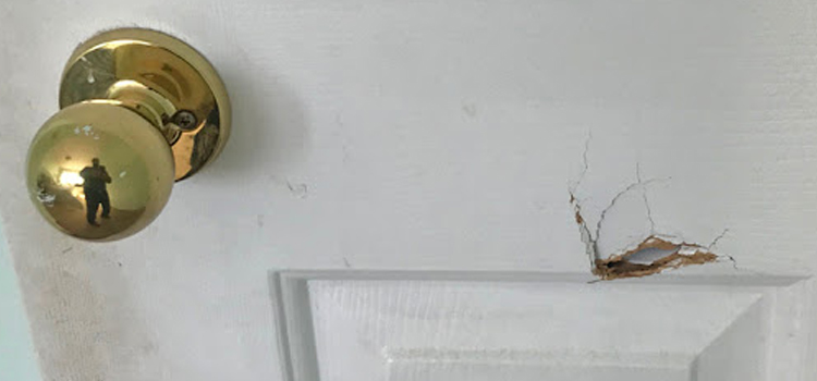 interior door hole repair San Carlos Park