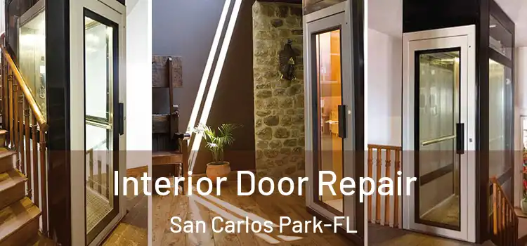  Interior Door Repair San Carlos Park-FL