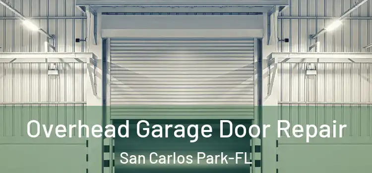  Overhead Garage Door Repair San Carlos Park-FL