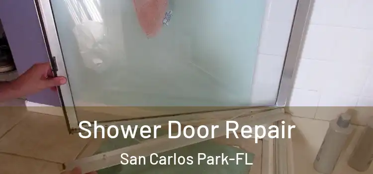  Shower Door Repair San Carlos Park-FL