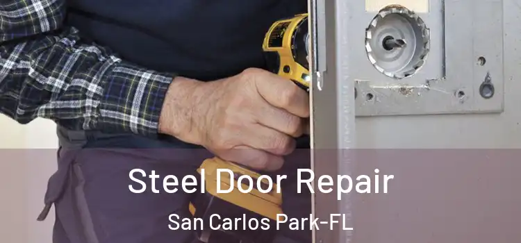  Steel Door Repair San Carlos Park-FL