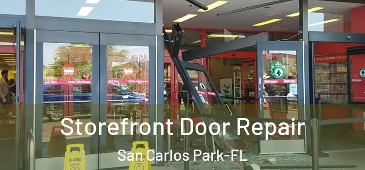  Storefront Door Repair San Carlos Park-FL