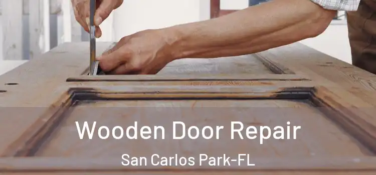  Wooden Door Repair San Carlos Park-FL
